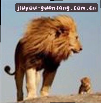 赵敏